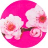 bionsen cherry bloosom mini